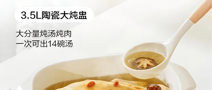 BUYDEEM北鼎 多功能蒸炖锅 隔水蒸炖锅电蒸锅 加大加高不挑餐具 14L G67 双层