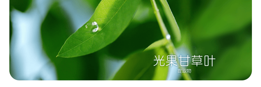 日本KANEBO佳丽宝 FREEPLUS芙丽芳丝 氨基酸温和泡沫洗面乳 洗面奶 100g【超值2支】不同版本随机发