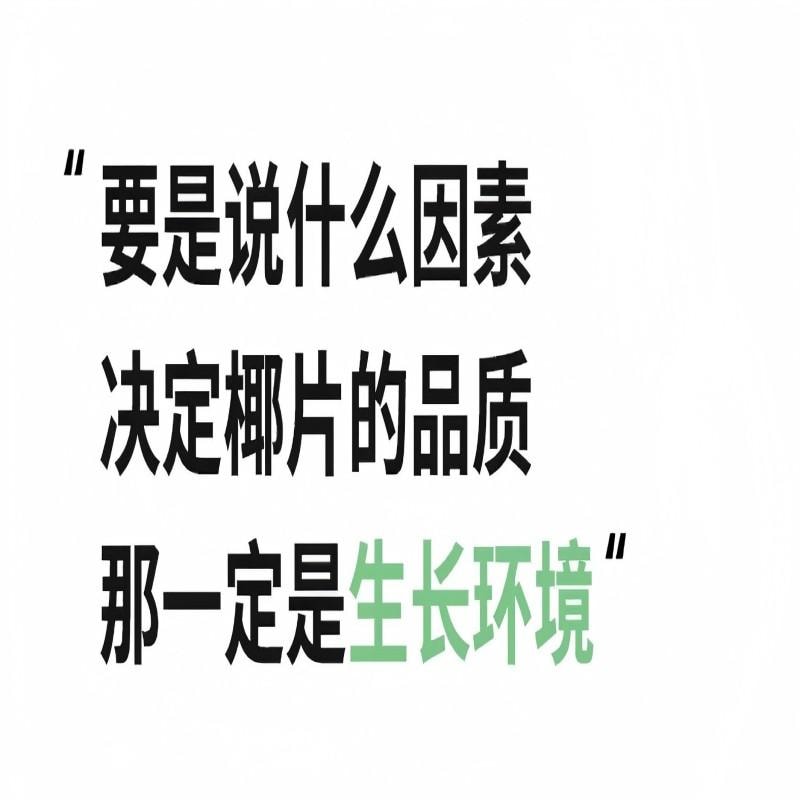 【中國直郵】 新邊界 椰子脆片海南特產原味椰子片即食零食烤椰子肉薄脆椰果乾食品小吃休閒零食200g