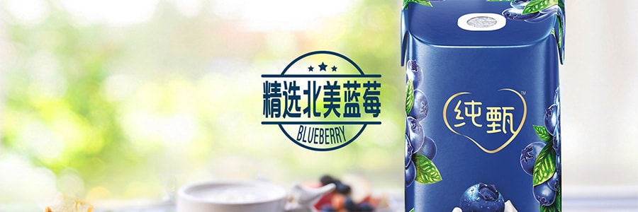 【贈品】蒙牛 純甄風味優格 藍莓口味 200g