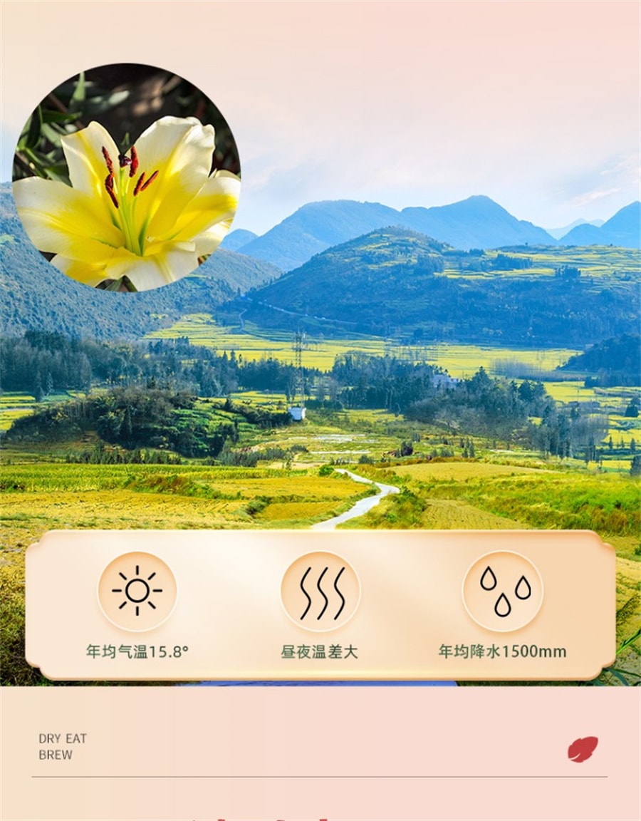 【中國直郵】岷農人 甘肅蘭州百合幹250g乾貨特級無硫甜白合大片泡水