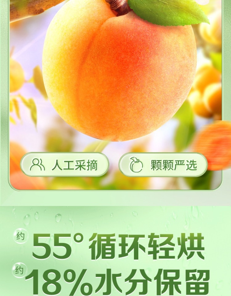 百草味 红杏干100g