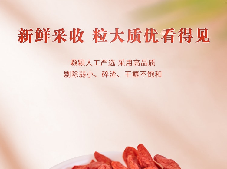 中国采芝林枸杞子 特级宁夏枸杞大颗粒免洗滋补肝肾泡水煲汤 250g