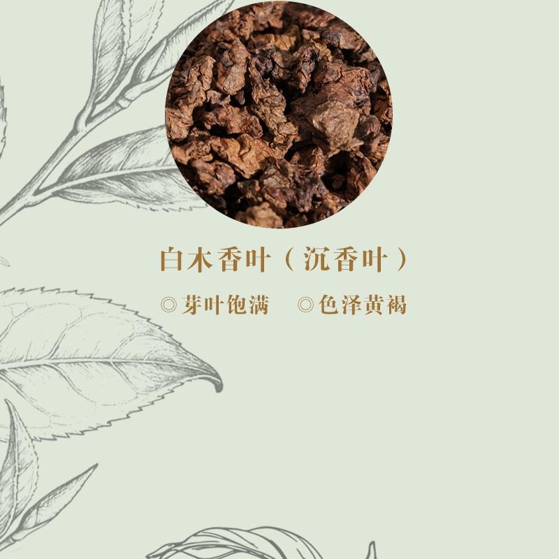 采芝林 新年爆款 沉香酸枣仁晚安茶包5g*12包 养生袋泡茶 配方干净【女生常备】【免煮易泡 独立茶包】