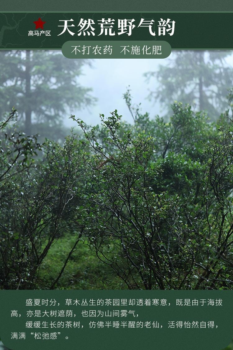 【美國現貨秒發】小師姐評茶 千兩茶餅高馬蒼卷 2019年安化黑茶茶葉 皇家貢茶 680克