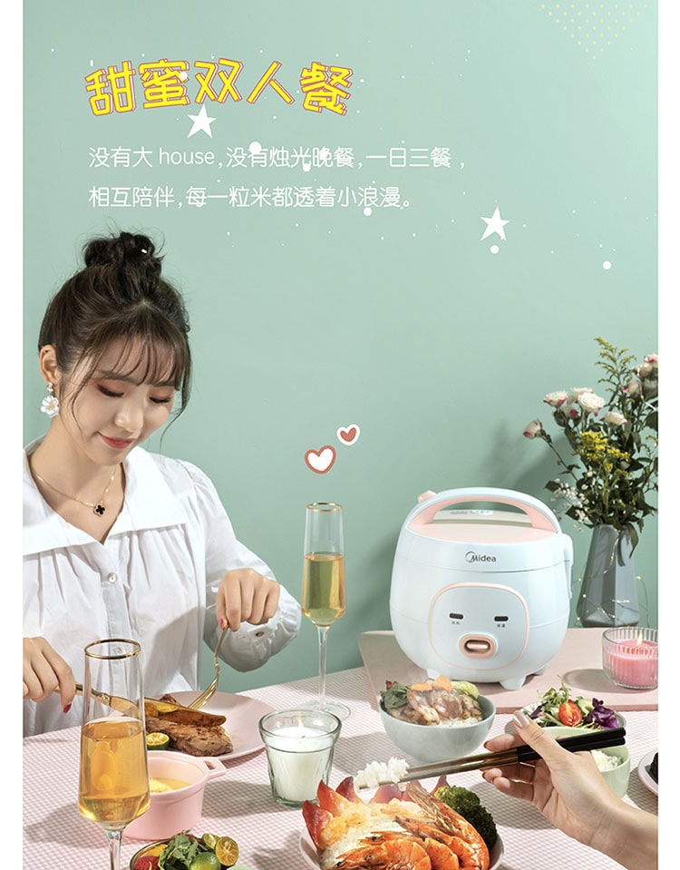 Rice cooker Small household single and double person electric rice