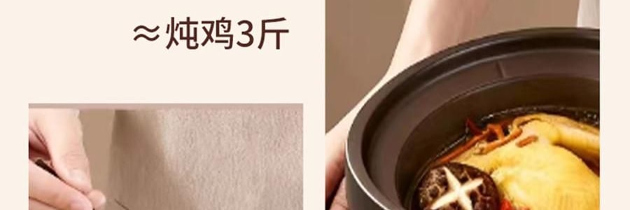 ZENO 紫砂电炖锅 多功能电砂锅电炖盅 煲汤锅炖汤锅 4L-ZSD-406U【限量送磁力搅拌咖啡杯】