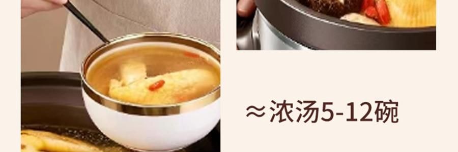 ZENO 紫砂电炖锅 多功能电砂锅电炖盅 煲汤锅炖汤锅 4L-ZSD-406U【限量送磁力搅拌咖啡杯】