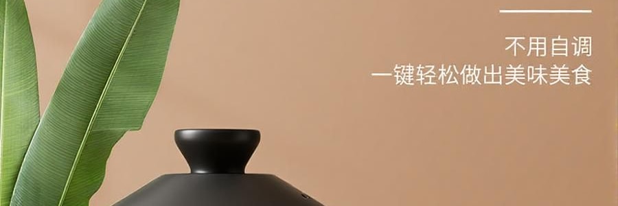 ZENO 紫砂电炖锅 多功能电砂锅电炖盅 煲汤锅炖汤锅 4L-ZSD-406U【限量送磁力搅拌咖啡杯】