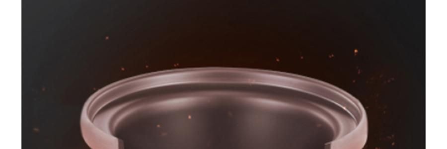 ZENO 紫砂电炖锅 多功能电砂锅电炖盅 煲汤锅炖汤锅 4L-ZSD-406U【限量送磁力搅拌咖啡杯】