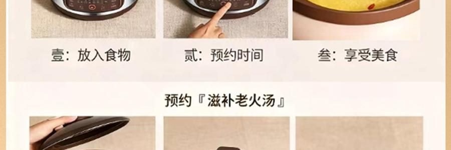 ZENO 紫砂电炖锅 多功能电砂锅电炖盅 煲汤锅炖汤锅 4L-ZSD-406U【限量送磁力搅拌咖啡杯】