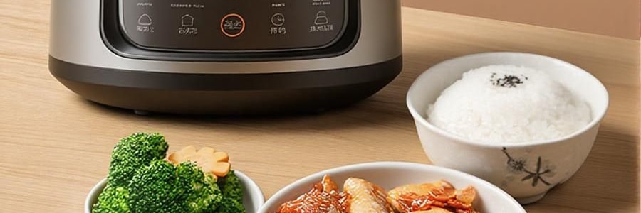 ZENO 紫砂电炖锅 多功能电砂锅电炖盅 煲汤锅炖汤锅 4L-ZSD-406U【限量送磁力搅拌咖啡杯】