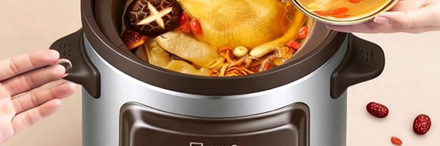 ZENO 紫砂电炖锅 多功能电砂锅电炖盅 煲汤锅炖汤锅 4L-ZSD-406U【限量送磁力搅拌咖啡杯】