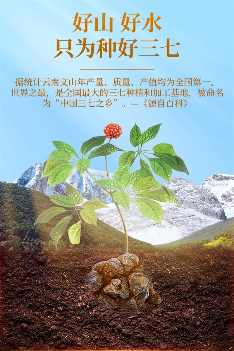 三七人参粉（農家直堀・中国雲南省文山産）1kg 云南白药三