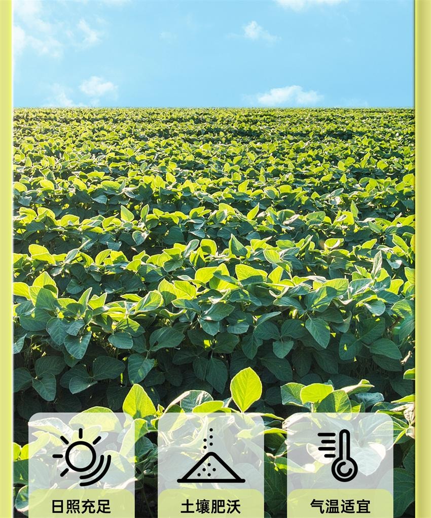 【中国直邮】 孕小饱 炒黑豆 高蛋白孕妇零食备孕原味熟即食小吃营养孕期健康食品 250g/罐