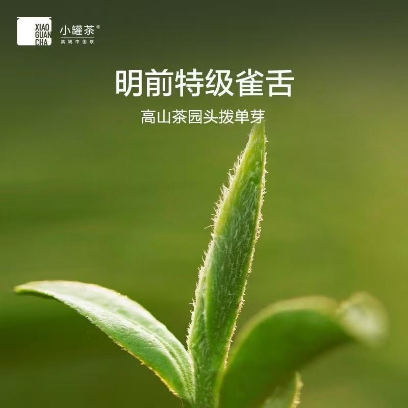 【中国直邮】 小罐茶 银罐系列 特级 雀舌绿茶 20罐/盒 2024春茶 明前头采嫩芽茶叶