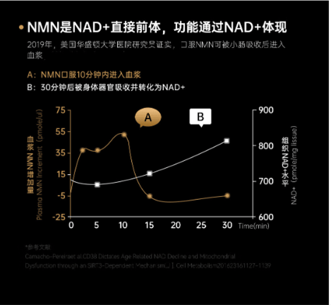 【日本直邮】MEIJISEIYAKU 明治制药MSNS高纯度烟酰胺单核苷酸 NMN10000补充剂(60粒)