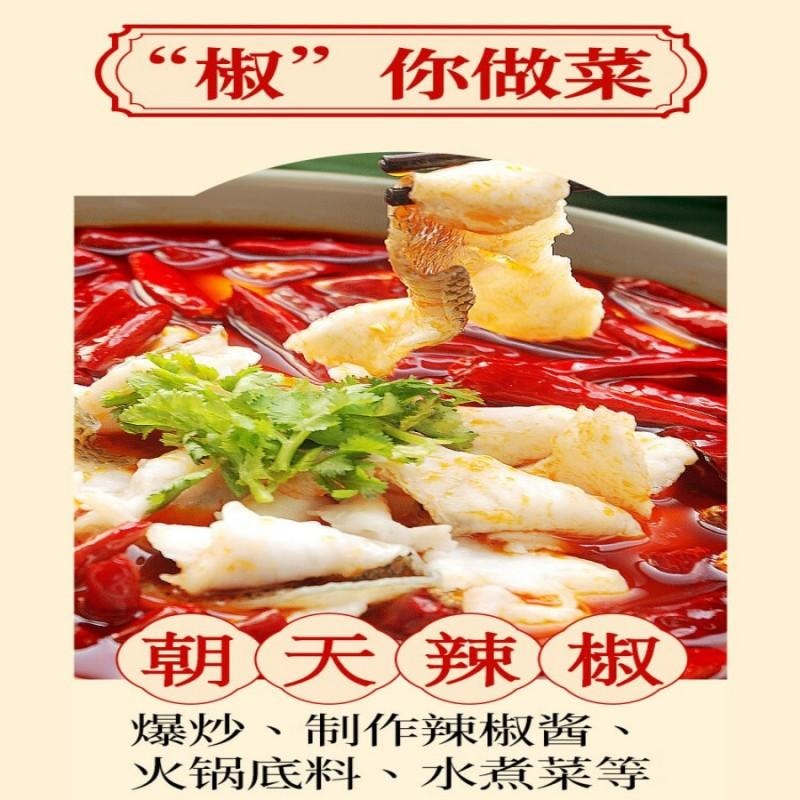 【中國直郵】 川珍 乾辣椒組合3瓶裝微中重特辣四川朝天紅椒小米椒燈籠椒魔鬼椒320g