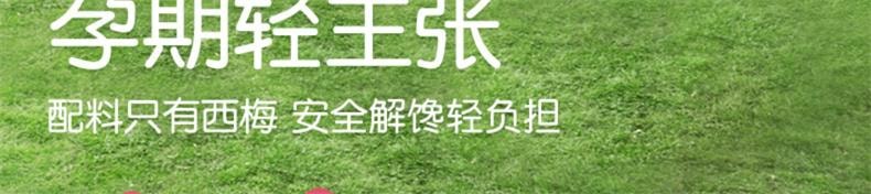 【中國直郵】 孕味食足 西梅干蜜餞果乾孕婦解饞零食(原味+酸味+無核)3袋裝