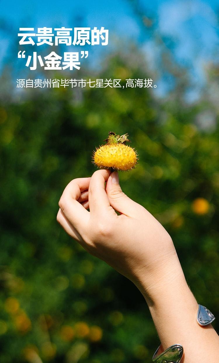 远方好物 [C味·C位 刺梨原液(含益生元) 50mlX10]  维C之王 超强美白     0色素0添加