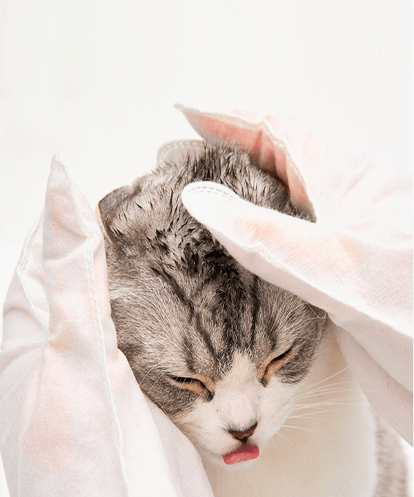 韩国 Henlopaw 猫沐浴手套 1盒