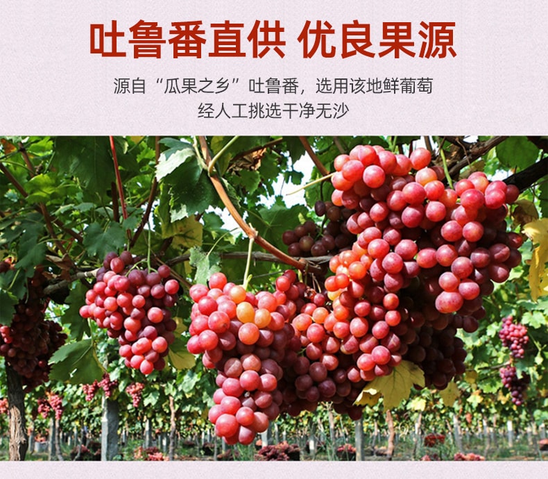 【中国直邮】一果倾城 玫瑰红葡萄干独小包装新疆特产特级提子干250g/袋