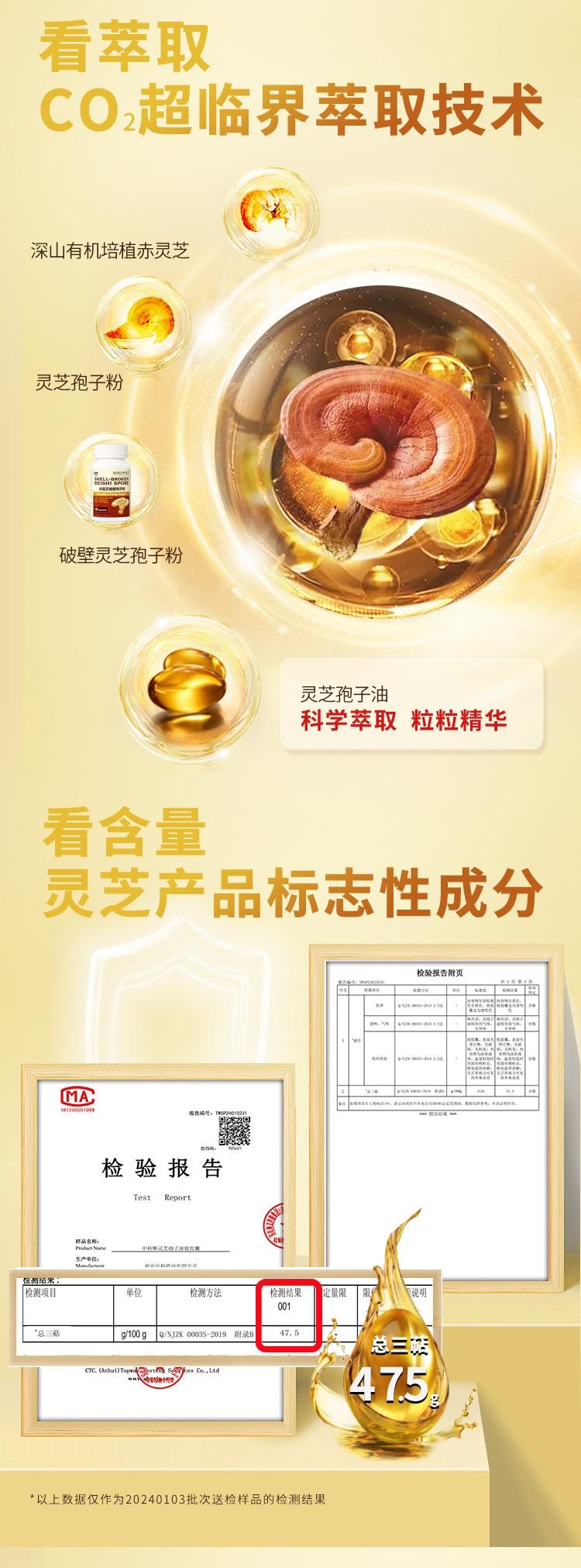 中科灵芝孢子油 - 免疫调节 保肝护肝 改善体质 术后恢复 灵芝三萜≥32% 40粒