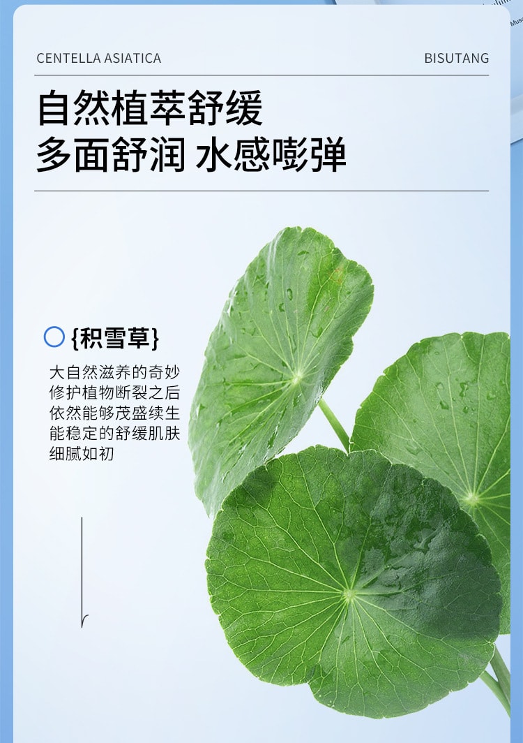 【中国直邮】碧素堂 补水保湿修护面部 舒缓修护 积雪草舒缓补水面膜10片/盒