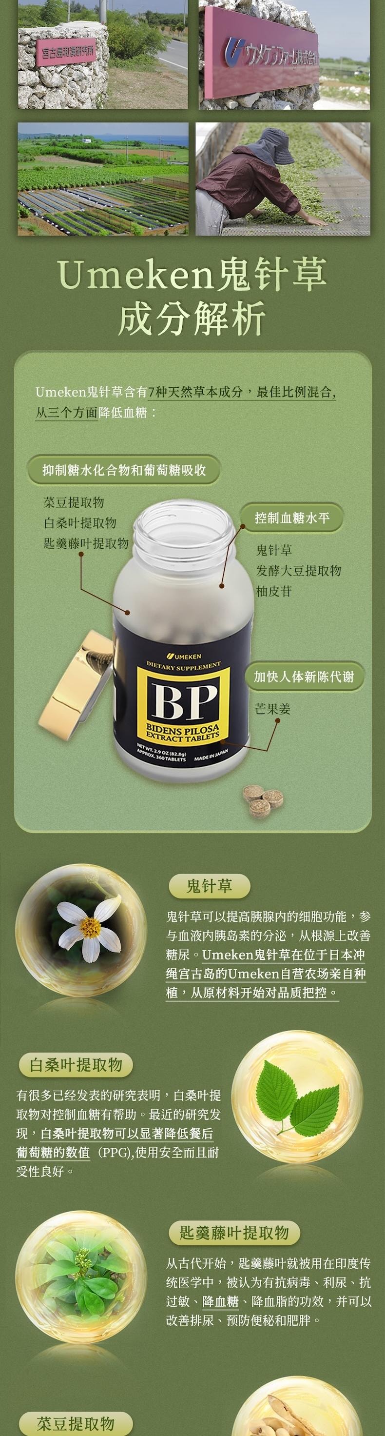 【日本產】UMEKEN 鬼针草片 2个月量 【日系抗糖丸✨7种草本呵护 稳糖轻养不焦虑!】【30+女生逆龄保养的秘密!】【对抗糖化焦虑🌿身体肌肤都轻盈】