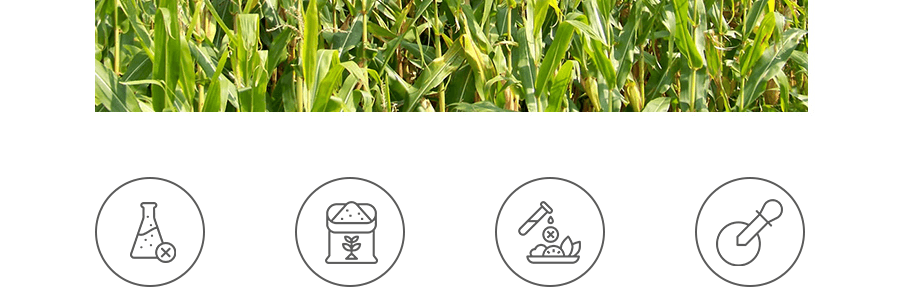 興龍墾 生態小鎮 有機黏玉米渣 (粗) 907g USDA認證