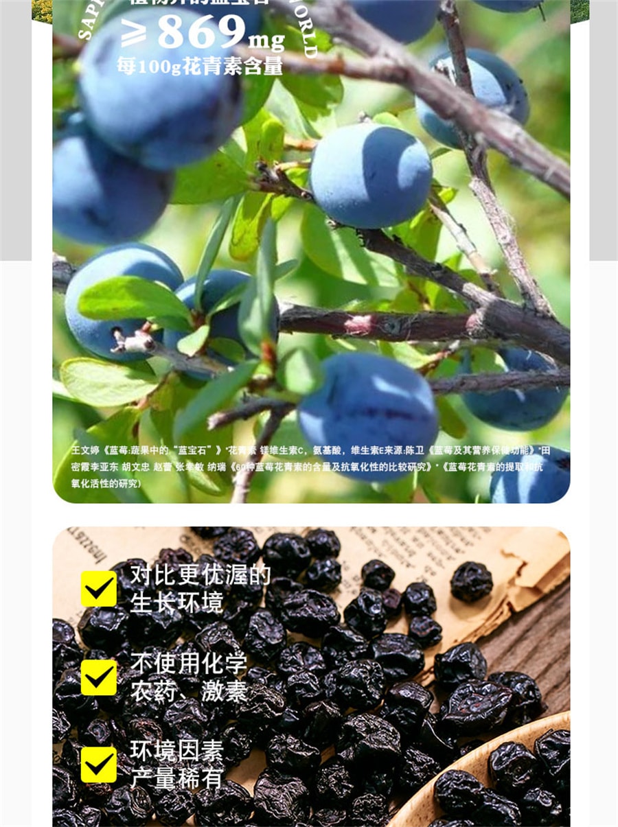 【中国直邮】农品多 蓝莓干500g无添加剂孕妇水果肉脯独立小包装办公室解馋零食