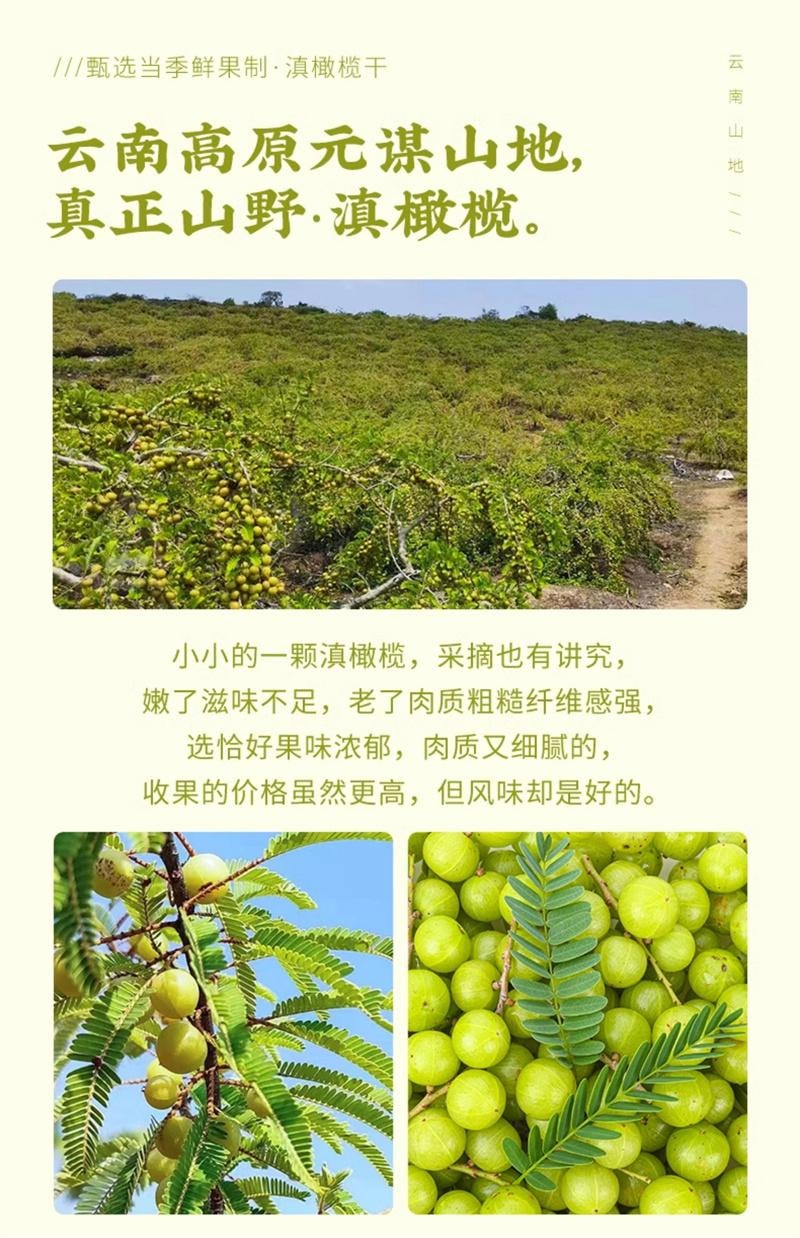 【中國直郵】 雲娘食記 雲南野滇橄欖乾 餘甘子柑酸甜油甘潤口蜜餞果脯幹辦公室零食茶點 190g*1罐