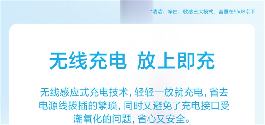 【中國直郵】飛科聲波電動牙刷情侶套裝充電式全自動 深海藍