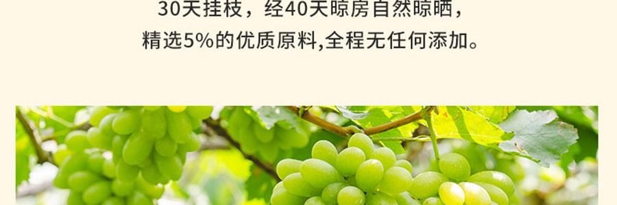 維漢 黃金葡萄乾 310g【甜潤飽滿】【健康0添加】【山姆超市同款】