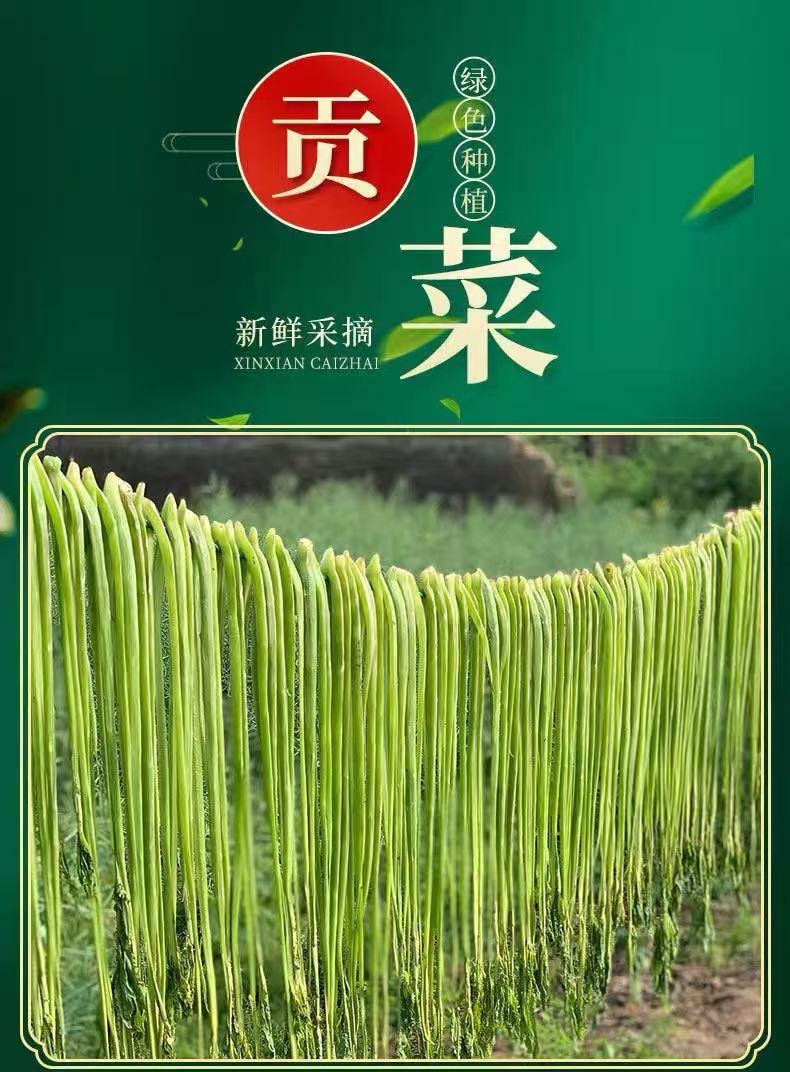 细珠妈妈 特级贡菜干 正宗火锅食材 自然生长 健康轻食 130克