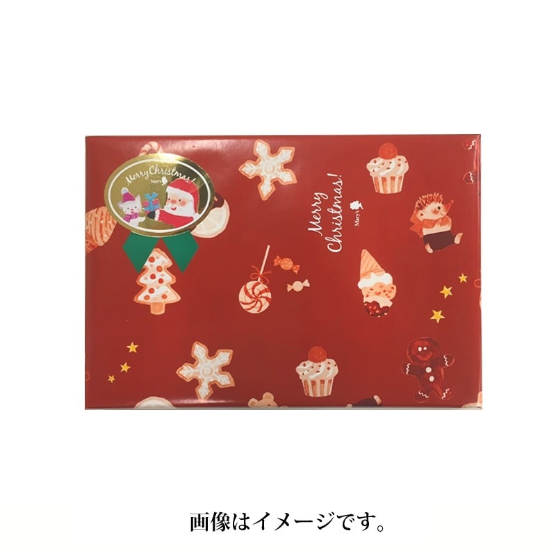 【日本直郵】日本超人氣巧克力MARY'S 2023年聖誕節限定 巧克力禮盒 12枚裝