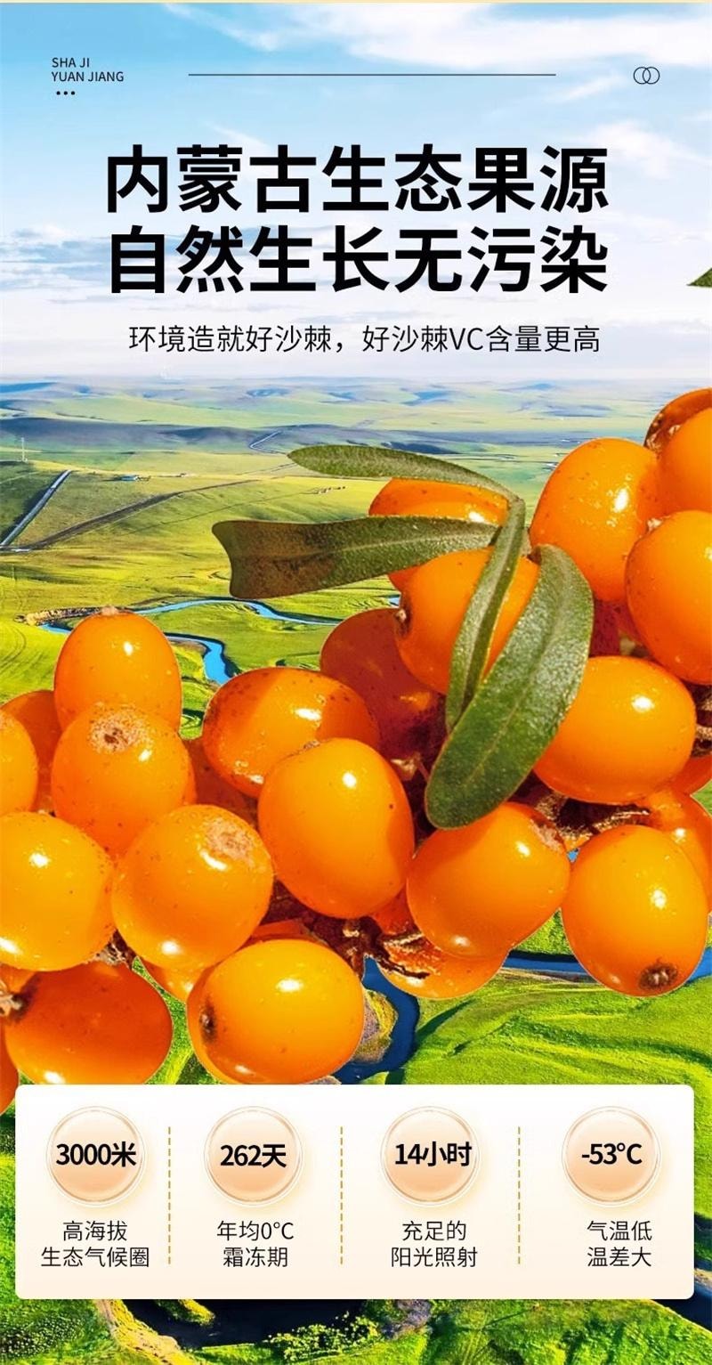 【中国直邮】 北京同仁堂 沙棘原浆滋补高颜值新品沙棘原浆 300ml/盒(小红书种草推荐)