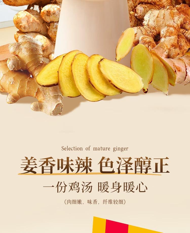 【中国直邮】 吉得利 生姜粉100g 袋装 羊杂汤鸡汤鲫鱼汤煲汤去腥提鲜调味粉料