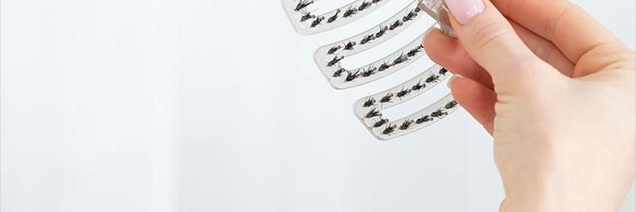 PANVIN盤易 水晶蓬鬆梳 家用蓬鬆按摩梳 鏤空可彎曲排骨梳 #灰色 不含猪鬃款 撫平毛躁 清潔頭皮