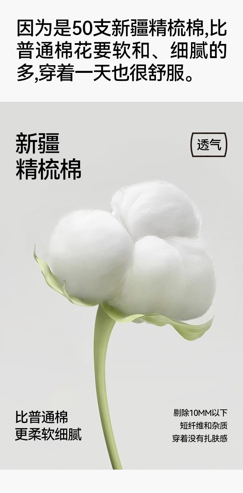 【中国直邮】 宝娜斯 纯棉透气无痕三角裤 绿色M码 2条