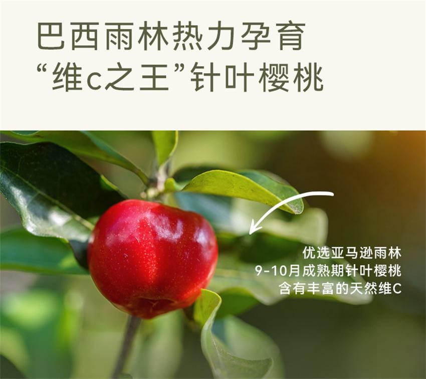 【中国直邮】 哦唛福 冻干羽衣甘蓝针叶樱桃粉 膳食纤维健身代餐饱腹食品青汁果蔬菜粉 3g*10条/盒