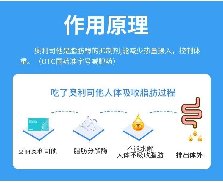 【中國直郵】 艾莉 膠囊減肥藥瘦肚子瘦身燃脂排油丸減脂神器 21粒/盒(小紅書種草推薦)