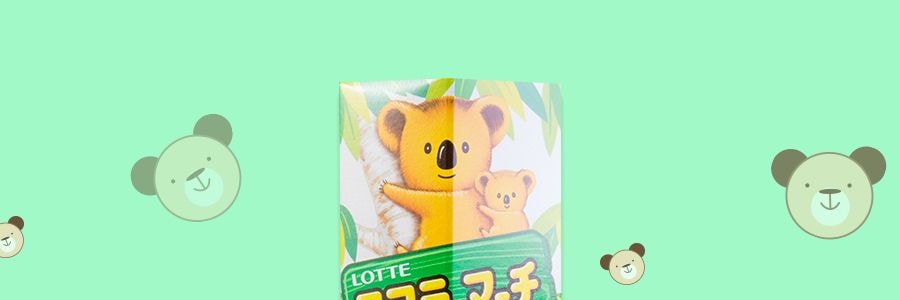 日本LOTTE樂天 無尾熊系列餅乾 巧克力口味 50g