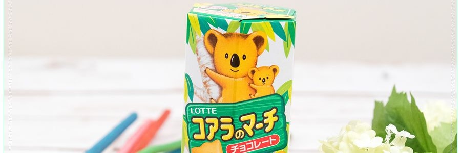 日本LOTTE樂天 無尾熊系列餅乾 巧克力口味 50g