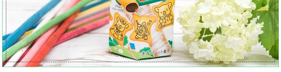 日本LOTTE樂天 無尾熊系列餅乾 巧克力口味 50g