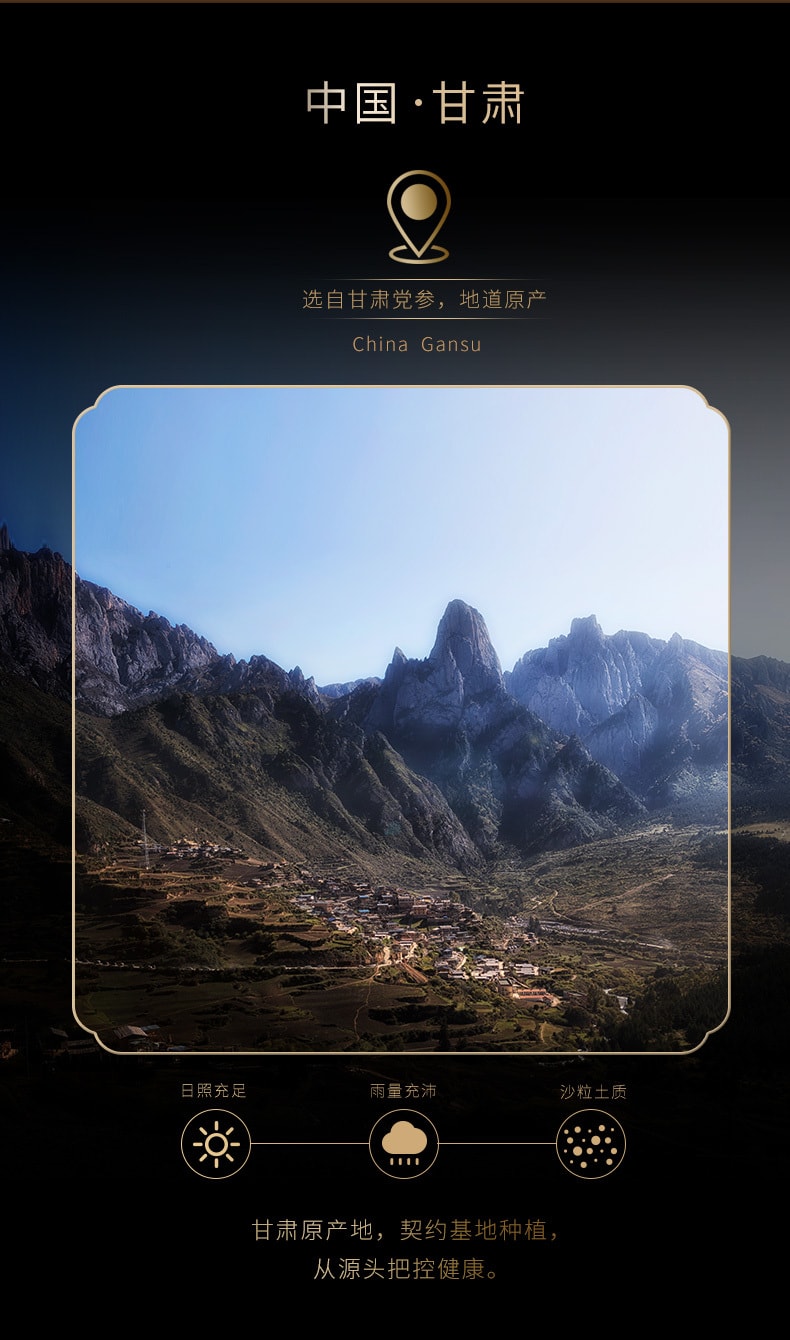 【中國直郵】 福東海 黨參 黨叁段乾貨搭黃芪當歸枸杞紅棗茶120g罐