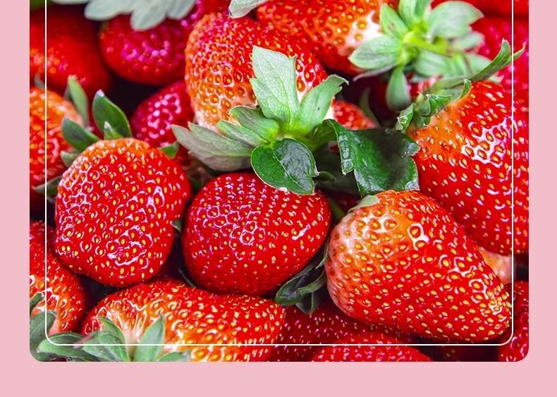 【中国直邮】 老香农 冻干草莓脆  罐装果干 烘焙用料 即食草莓干 整颗粒果干 网红小零食188g