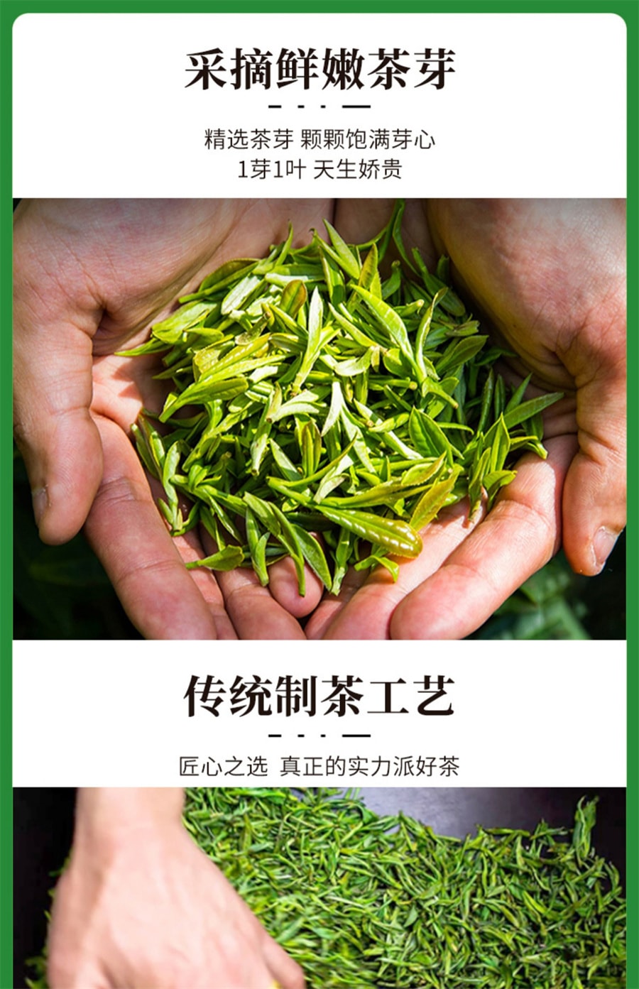 【中国直邮】一杯香   2024新茶碧螺春一杯香明前绿茶茶叶春茶  250g/袋
