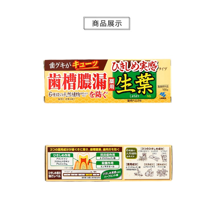 【日本直邮】日本KOBAYASHI 小林制药 生叶天然植物牙膏 有效防止牙周炎 清新口气 黄色装 100g
