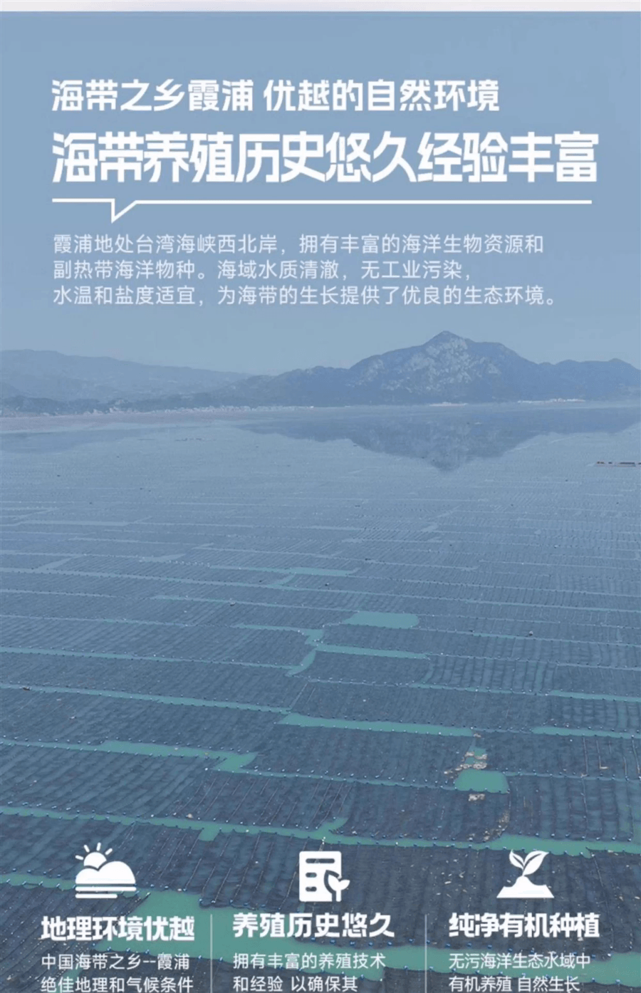 远方好物 【火锅搭子 霞浦食客有机压缩海带丝 (16gX10)】 15倍左右泡发率 0防腐0钠配方 真空包装更好保存